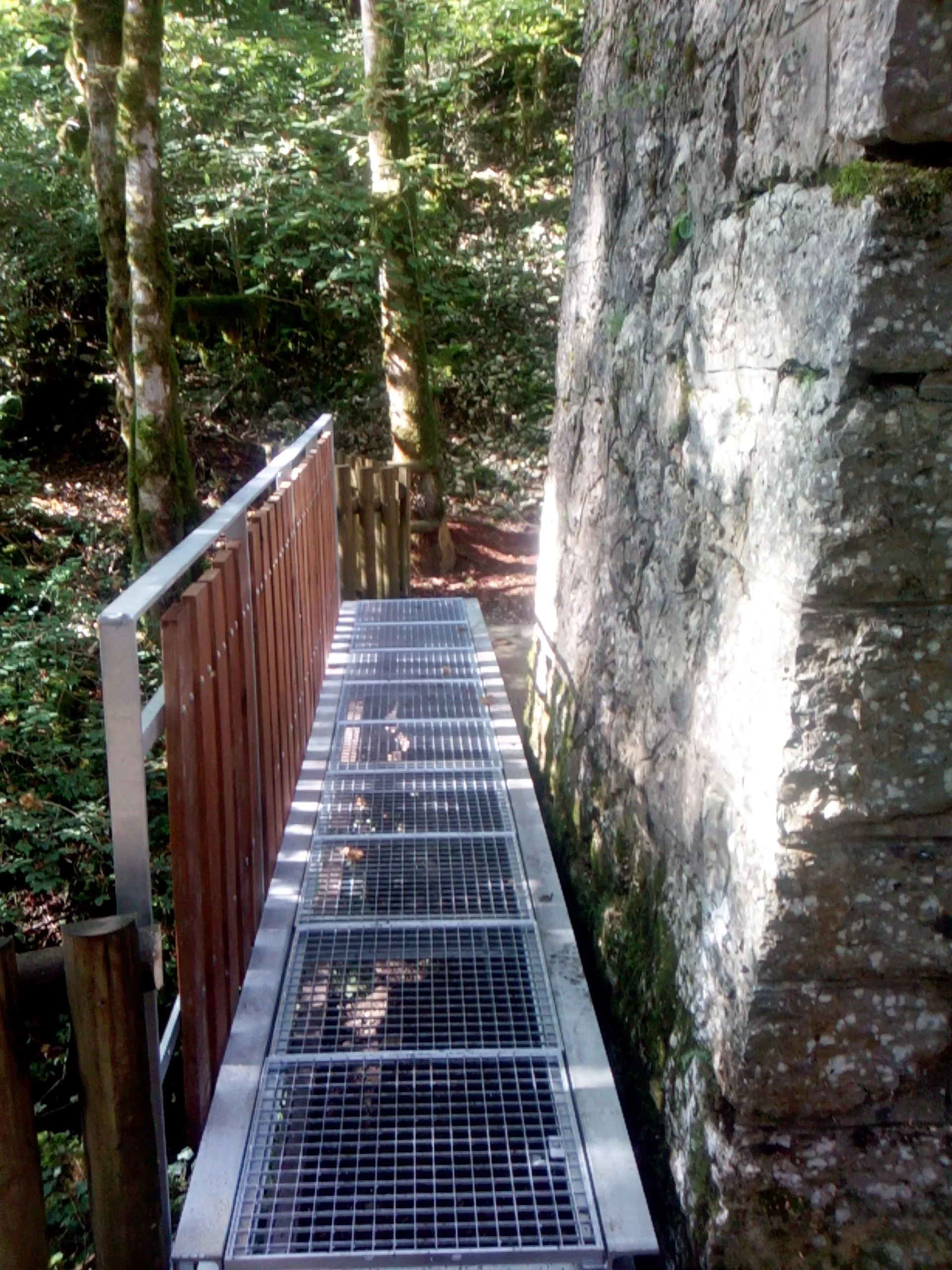 IMG_20230929_112524_110