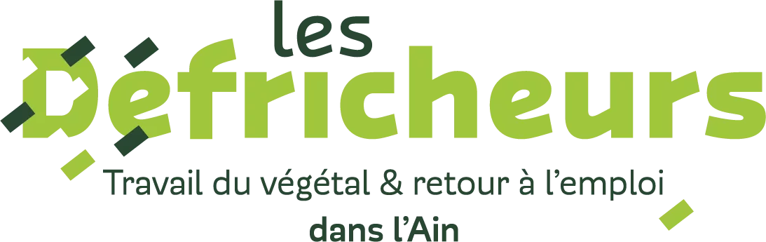 logo_les-defricheurs