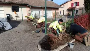 Les Défricheurs - St Genis Pouilly
