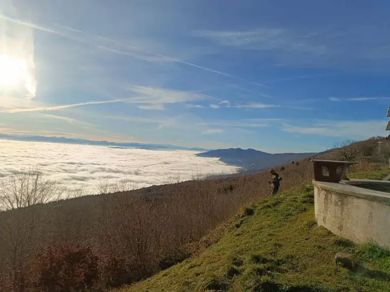 Lire la suite à propos de l’article Protégé : A venir : Directeur / Directrice d&rsquo;établissement – CDI à Oyonnax (01)